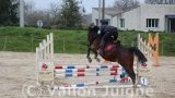 Allonnes