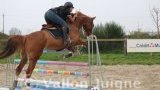 Allonnes