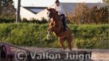 Allonnes